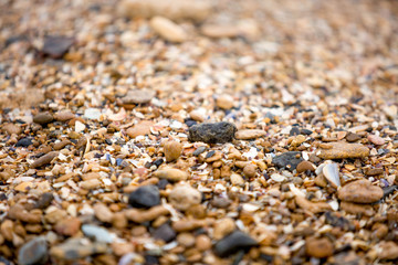 pebbles on the beach