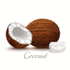 Whole Coconut Half and Oil. Realistic Elements for Labels of Food Cosmetic Skin Care Product Design. Vector Isolated Illustration