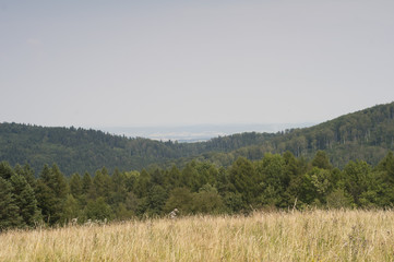 mountains in Poland - Bieszczady   © Maciej Sobczak