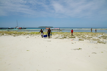 Fototapeta na wymiar the beautiful beach and sea of zanzibar in the indian ocean