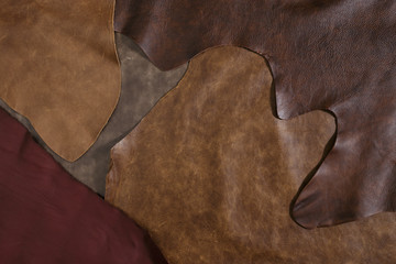 Natural cow leather samples texture. Top view.