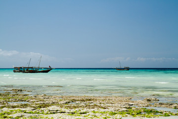 Fototapeta na wymiar the beautiful beach and sea of zanzibar in the indian ocean