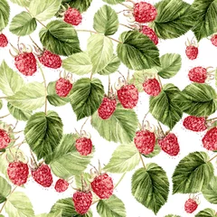 Wall murals Watercolor fruits Beautiful Watercolor Raspberry Seamless Pattern. 