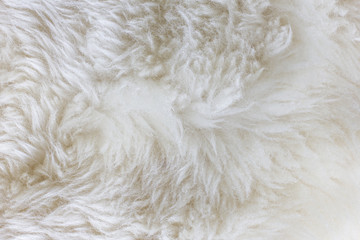 Natural Fur Texture 