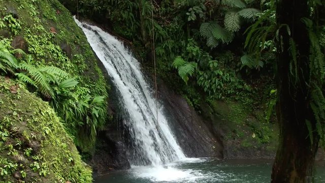 Static shot of crayfish waterfall in National park of Guadeloupe, Basse-Terre