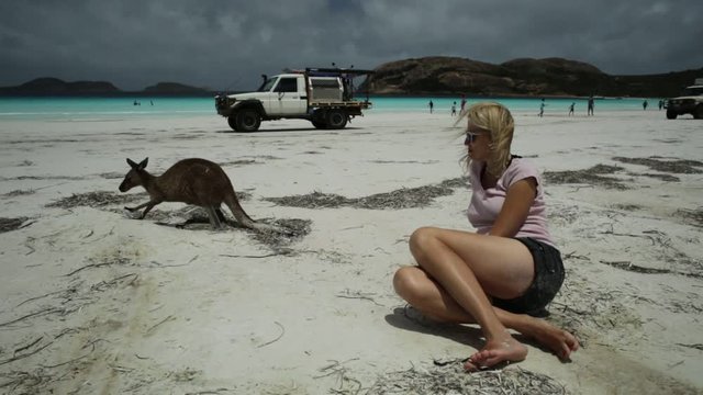 Happy woman lying on pristine white sand of Lucky Bay close to kangaroo. Cape Le Grand National Park, Esperance, Western Australia. Female tourist with kangaroo and 4WD on background.