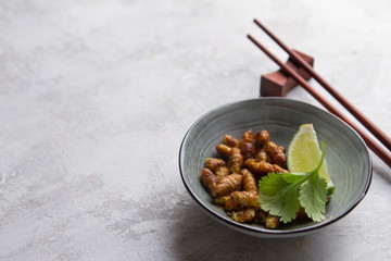 Fried insects (wood worm insect) crispy