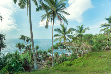 Fototapeta na wymiar Beautiful nature of Sri Lanka with Indian Ocean and coconut trees on green hills. Tropical landscape under white clouds at sunny weather