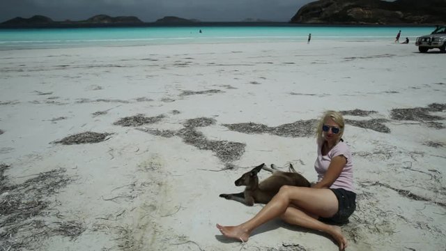 woman on white Lucky Bay with a kangaroo in Cape Le Grand National Park near Esperance, Western Australia. Female tourist with kangaroo and 4WD on background.