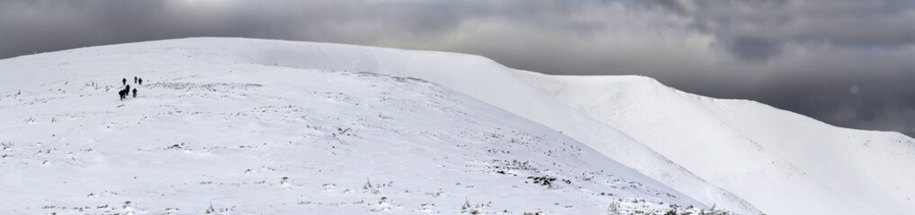 Snow covered Carpathian mountain hills with far away hikers tourists in winter