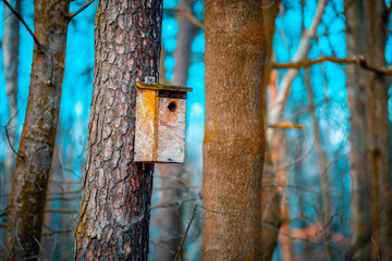 Hand made wooden birdhouse on tree in the forest