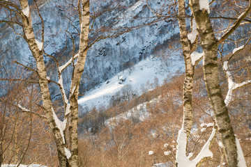 Scenic snowy mountain view with birches and rustic cowshed at sunrise sunset in sunny winter day outdoor.