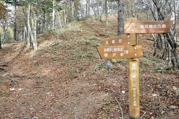 山道の標