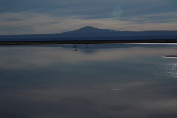 San Pedro de Atacama 19