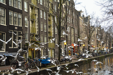 canali di Amsterdam