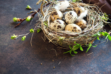 Obraz premium Easter Eggs in Nest