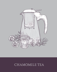 Glass teapot or pitcher with strainer, cup of tea or herbal infusion and chamomile flowers hand drawn in vintage style. Tasty natural infused beverage. Monochrome vector illustration for label, tag.