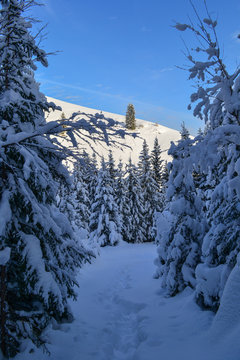 Winter forest in the Ural Mountains, Russia, Chelyabinsk region, Minyar. Pushkin's fairy tale