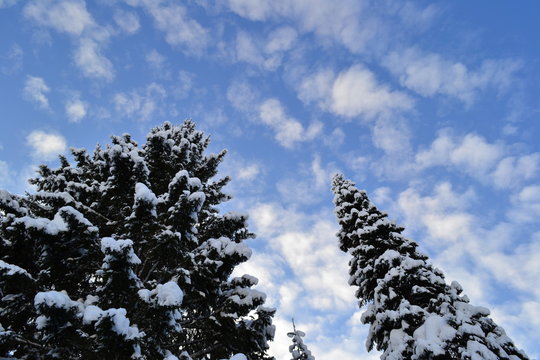 Winter forest in the Ural Mountains, Russia, Chelyabinsk region, Minyar. Pushkin's fairy tale