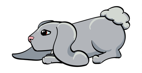 Long-eared Bunny