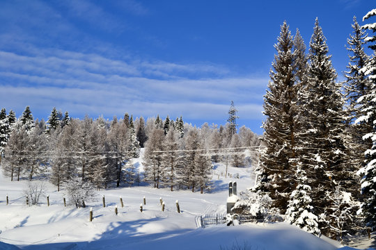 Winter forest in the Ural Mountains, Russia, Chelyabinsk region, Minyar. Pushkin's fairy tale
