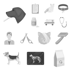 Veterinary clinic monochrome icons in set collection for design. Treatment of a pet vector symbol stock web illustration.