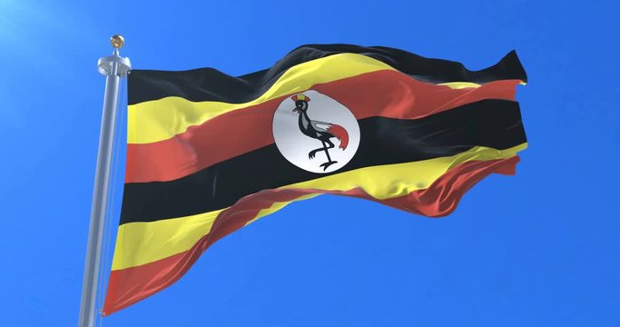 Flag of Uganda waving at wind in slow with blue sky, loop