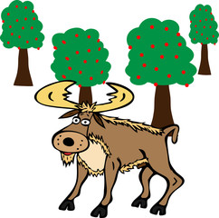 Obraz na płótnie Canvas adult moose with horns