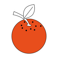 Orange citric fruit icon vector illustration graphic design