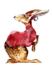 Hare in red sweater watercolor illustration, hand-drawn vintage isolated object on white background.