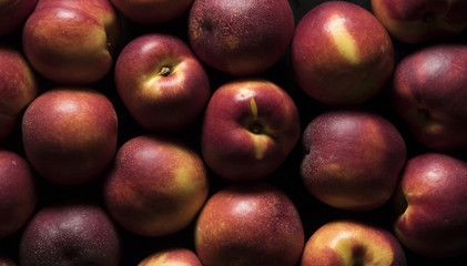 nectarine peaches on black background