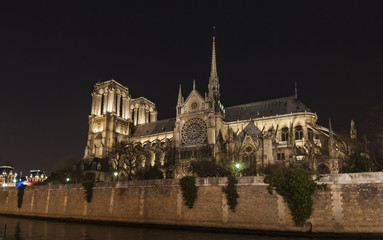 Fototapeta na wymiar Notturno Notre Dame de Paris