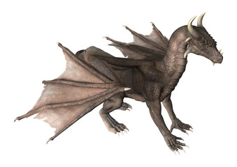 3D Rendering Fantasy Dragon on White