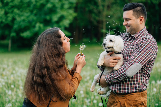 Young stylish happy couple in love having fun with little dog in dandelions field. Pretty girl with long hair and man playing with with maltese in park