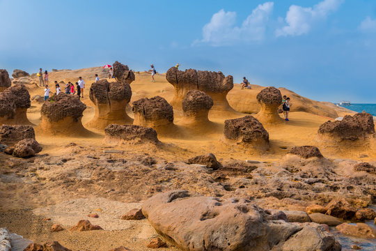 Visitors at the Yehliu Geopark in Taiwan are admiring a group of mushroom rocks covered with holes of different sizes which appear like honeycombs.