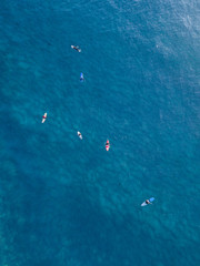 Aerial view of surfers relaxing in the water.