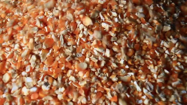 The machine is grinding corn into flour

