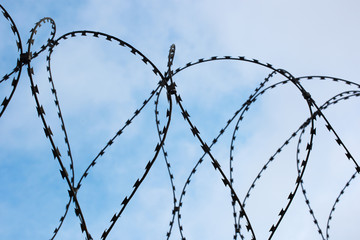 Barbed wire and blue sky, a symbol of imprisonment