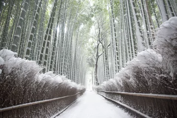 Fotobehang Sneeuwscène van het bamboebos van Kyoto Arashiyama © mar