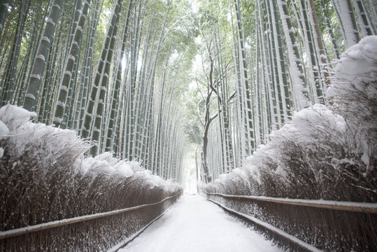 雪景色 Images – Browse 118,093 Stock Photos, Vectors, and 雪景色 Images – Browse 118,093 Stock Photos, Vectors, and