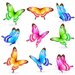 Fotobehang Vlinders beautiful color butterflies,set, isolated  on a white