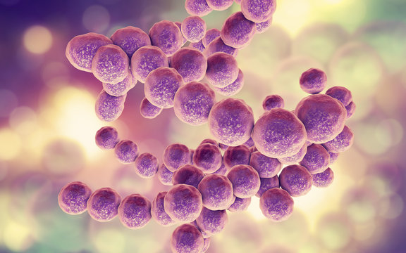 Bacteria Peptococcus, anaerobic Gram-positive cocci, they are part of human microbiome in intestine and also cause inflammations of different location, 3D illustration