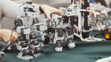 Robotic toy model on technology exhibition