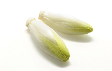 Fresh belgian endives isolated on white background.