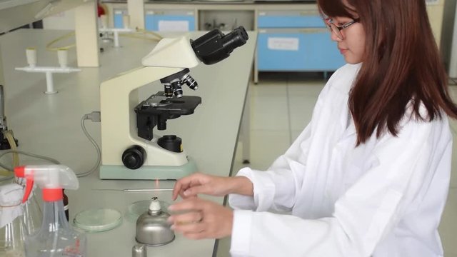 Asian Thai college student female scientist burns inoculating loop in alcohol burner and lid petri dish to pick up germ on slide and looking though microscope in science laboratory 