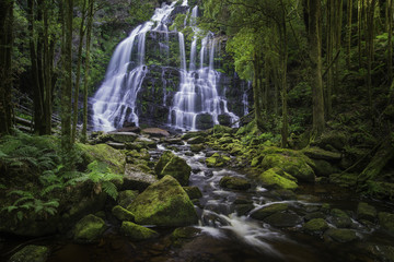 Nelson Falls, Tasmania