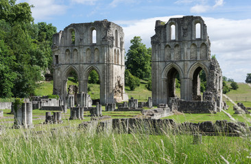 The Ruins of Roche Abbey, Maltby, Rotherham, England - obrazy, fototapety, plakaty
