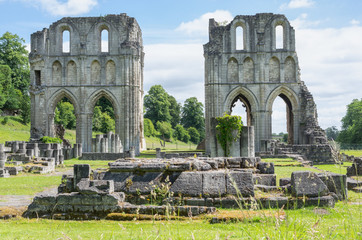 The Ruins of Roche Abbey, Maltby, Rotherham, England - obrazy, fototapety, plakaty