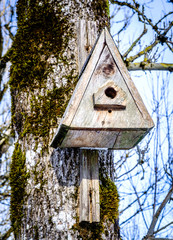 wooden birdhouse