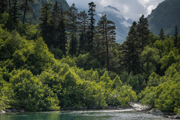 Mountain forest lake landscape